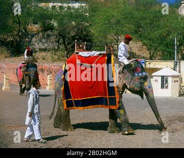 Amer Palace and Fort (Hindi: आमेर क़िला, anche scritto e pronunciato come Amber) è stato costruito da Raja Man Singh i (21 dicembre 1550 – 6 luglio 1614). Jaipur è la capitale e la città più grande dello stato indiano del Rajasthan. Fu fondata il 18 novembre 1727 da Maharaja Sawai Jai Singh II, il governatore di Amber, dopo di che la città fu chiamata. La città oggi ha una popolazione di 3,1 milioni di abitanti. Jaipur è conosciuta come la città rosa dell'India. La città è notevole tra le città indiane pre-moderne per la larghezza e la regolarità delle sue strade che sono disposte in sei settori separati da strade ampie 34 m (111 Foto Stock