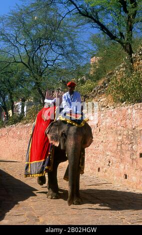 Amer Palace and Fort (Hindi: आमेर क़िला, anche scritto e pronunciato come Amber) è stato costruito da Raja Man Singh i (21 dicembre 1550 – 6 luglio 1614). Jaipur è la capitale e la città più grande dello stato indiano del Rajasthan. Fu fondata il 18 novembre 1727 da Maharaja Sawai Jai Singh II, il governatore di Amber, dopo di che la città fu chiamata. La città oggi ha una popolazione di 3,1 milioni di abitanti. Jaipur è conosciuta come la città rosa dell'India. La città è notevole tra le città indiane pre-moderne per la larghezza e la regolarità delle sue strade che sono disposte in sei settori separati da strade ampie 34 m (111 Foto Stock