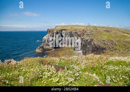 Scogliere sull'isola di maggio, Scozia Foto Stock