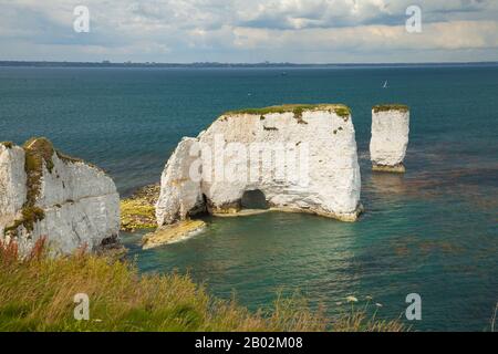 Chalk pila presso Old Harry Rocks, Dorset, Inghilterra Foto Stock