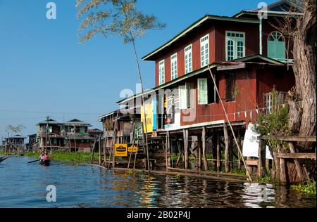 Il lago Inle è un lago d'acqua dolce situato nella cittadina di Nyaungshwe, nel distretto di Taunggyi, nello Stato di Shan, parte delle colline di Shan in Myanmar (Birmania). È il secondo lago più grande in Myanmar con una superficie stimata di 116 km2, e uno dei più alti a un'altitudine di 880 m. La gente del lago Inle (chiamato Intha), circa 70.000 di loro, vive in quattro città che si affacciano sul lago, in numerosi piccoli villaggi lungo le rive del lago, e sul lago stesso. L'intera area del lago si trova nella cittadina di Nyaung Shwe. La popolazione è costituita prevalentemente da Intha, con un mix di altri Foto Stock