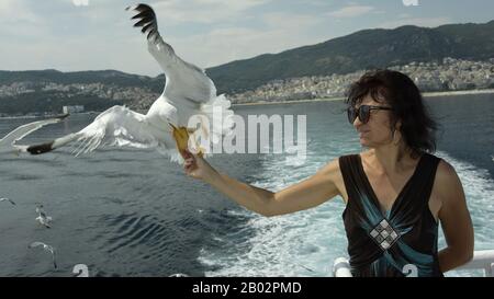 Donna che alimenta gabbiani su un traghetto da Kavala a Thassos. I gabbiani volano attraverso il cielo per prendere il cibo dalle mani dei passeggeri. Mar Egeo, Grecia Foto Stock