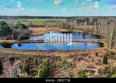 Veduta aerea di un lago nel paesaggio tedesco di brughiera, raccolto da un livello basso Foto Stock