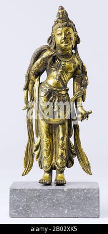 Guanshiyin o Avalokitesvara è il bodhisattva associato alla compassione venerata dai buddisti dell'Asia orientale, solitamente come una femmina. Il nome Guanyin è breve per Guanshiyin che significa 'Osservare I Suoni (o Grida) del mondo'. Alcuni buddisti credono che quando uno dei loro aderenti parte da questo mondo, essi sono posti da Guanyin nel cuore di un loto poi inviato a casa nella terra occidentale pura di Sukhavati. È generalmente accettato (nella comunità cinese) che Guanyin originò come il Sanscrito Avalokitesvara, che è la sua forma maschile. Comunemente conosciuta in inglese come la Dea di Me Foto Stock