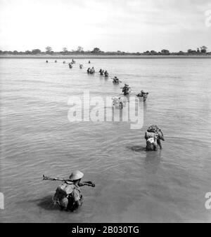 L'isola di Ramree (anche isola di Yangbye o isola di Yanbye) è un'isola al largo della costa dello Stato di Rakhine, Birmania. L'area dell'isola e' di circa 1.350 chilometri quadrati (520 miglia quadrati) e il principale centro abitato e' Ramree. Durante la seconda guerra mondiale la battaglia di Ramree Island fu combattuta nel gennaio e nel febbraio 1945, come parte dell'offensiva britannica 14th Army 1944/45 sul fronte meridionale della Campagna Burma. Al termine della battaglia, i soldati giapponesi furono costretti nelle paludi che circondano l'isola, e si dice che i coccodrilli di acqua salata ne abbiano mangiati molti. Foto Stock