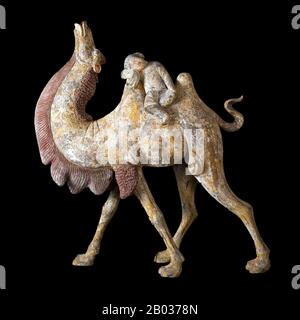 Il cammello di Bactriano (Camelus bactrianus) è un grande ungulato, anche toed, nativo delle steppe dell'Asia centrale. Attualmente è limitato nelle regioni selvagge ai Deserti lontani del Gobi e del Taklamakan della Mongolia e dello Xinjiang. Ci sono un piccolo numero di cammelli di Bactrian selvaggi che ancora vagano la provincia di Mangystau del Kazakistan sud-occidentale. E' una delle due specie di cammello sopravvissute. Il cammello di Bactria ha due gobbe sulla sua schiena, in contrasto con il cammello di Dromedary single-humped. I cammelli sono stati ampiamente utilizzati nel commercio della Via della seta attraverso i deserti dell'Asia centrale. Foto Stock