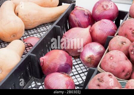 Zucca cruda fresca e cipolle rosse e patate nuove in vendita in un mercato agricolo all'aperto a Baltimora MD USA. Foto Stock