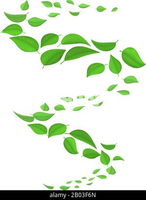 Volare foglie verdi nel vento isolato su sfondo bianco. Vortice naturale primaverile, vortice. Illustrazione vettoriale di un vortice di molle che volano la caduta g Illustrazione Vettoriale