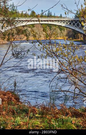 CARRON VILLAGE MORAY SCOTLAND SNOWDROPS E CHAZEL CATKINS UNA VISTA DALLA BANCA ALLA STRADA UNICA CARRON E VECCHIO PONTE FERROVIARIO CHE ATTRAVERSA IL FIUME S. Foto Stock