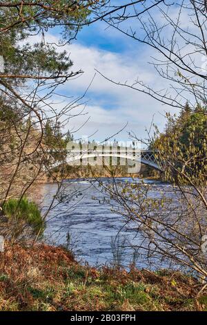 CARRON VILLAGE MORAY SCOTLAND SNOWDROPS E CHAZEL CATKINS UNA VISTA DALLA RIVA DEL FIUME ALLA STRADA UNICA CARRON E VECCHIO PONTE FERROVIARIO CHE ATTRAVERSA LA R Foto Stock