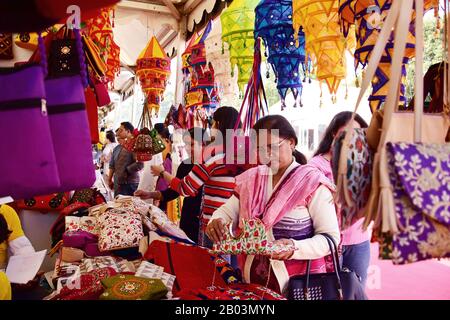 Delhi, India. 18th Feb, 2020. I visitatori che controllano varie merci durante il festival.Hunar Haat festival a India Gate Prati in Rajpath, è organizzato dal Ministero dell'Unione degli Affari Delle Minoranze. Il festival delle abilità di 10 giorni si svolge dal 13 al 23 febbraio con maestri artigiani, artigiani ed esperti culinari, tra cui oltre il 50% delle donne, provenienti da tutto il paese che partecipano all'Haat. Credit: Sopa Images Limited/Alamy Live News Foto Stock