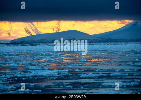 Guardando verso l'isola di Anvers al tramonto dal canale Lemaire, l'Antartide. Foto Stock