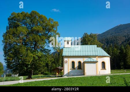 Catena montuosa Karwendel in Achenkirch in Tirolo / Austria Foto Stock