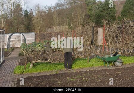 Due giardinieri femminili Che Lavorano nel Giardino vegetale a Rosemoor in Devon rurale, Inghilterra, Regno Unito Foto Stock