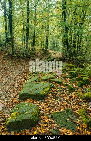 Emilia Romagna - un tratto della pavimentazione dell'antica strada romana dove si può vedere chiaramente la sua costruzione, proprio sopra la cava di pietra da cui i Romani hanno estratto il materiale per costruirlo. Foto Stock