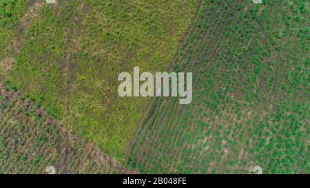 Veduta aerea di infiniti pascoli lussureggianti e terreni agricoli della città di morogoro, Tanzania Foto Stock