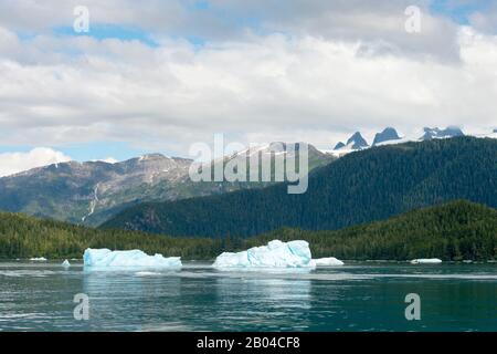 Iceberg del ghiacciaio di LeCont che si trova nella baia di LeCont, nella foresta nazionale di Tongass, nel sud-est dell'Alaska, Stati Uniti. Foto Stock