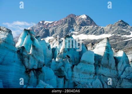 Vista della faccia glaciale del ghiacciaio di Lampugh a Johns Hopkins Inlet nel Glacier Bay National Park, Alaska sud-orientale, Stati Uniti. Foto Stock