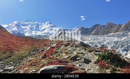 Trekking Rakaposhi basecamp nella regione di Gilgit-Baltistan di Pakista Foto Stock