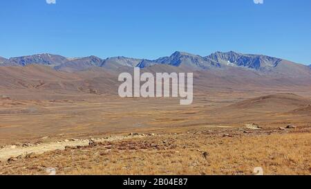 Deosai National Park una pianura alpina ad alta quota e parco nazionale nella regione settentrionale di Gilgit-Baltistan, nel Kashmir del Pakistan. 2019 Foto Stock