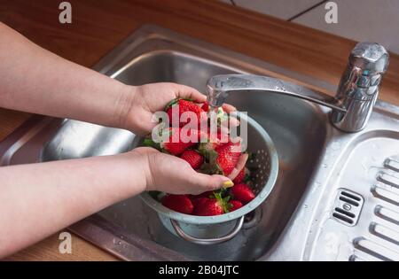 Donna che lava fragole mature nel lavandino della cucina, sotto filo d'acqua del rubinetto. Frutta biologica di fragola in colander. Frutti d'estate dolci. Cucina casalinga Foto Stock