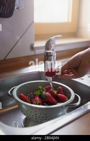 Donna mano lavando fragole organiche in un colander, nella cucina lavello accanto alla finestra. Interni domestici. Preparare frutta per mangiare. Frutta estiva. Foto Stock