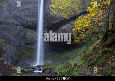 Vista delle cascate di Latourell e delle formazioni rocciose di basalto vicino a Portland lungo la gola del fiume Columbia in Oregon, Stati Uniti, all'interno del Guy W. Talbot state Park. Foto Stock