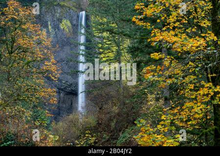 Vista delle cascate di Latourell in autunno, una cascata vicino a Portland lungo la gola del fiume Columbia in Oregon, Stati Uniti, all'interno del Guy W. Talbot state Park. Foto Stock