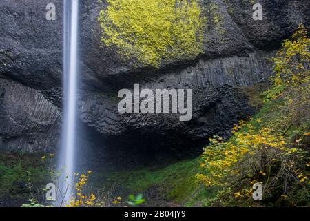 Vista delle cascate di Latourell e delle formazioni rocciose di basalto vicino a Portland lungo la gola del fiume Columbia in Oregon, Stati Uniti, all'interno del Guy W. Talbot state Park. Foto Stock