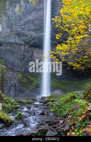 Vista delle cascate di Latourell in autunno, una cascata vicino a Portland lungo la gola del fiume Columbia in Oregon, Stati Uniti, all'interno del Guy W. Talbot state Park. Foto Stock