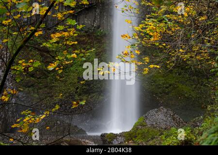 Vista delle cascate di Latourell in autunno, una cascata vicino a Portland lungo la gola del fiume Columbia in Oregon, Stati Uniti, all'interno del Guy W. Talbot state Park. Foto Stock