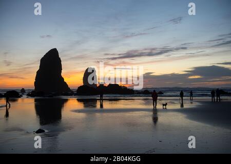 La gente sulla spiaggia con le pile di mare si silhouette al tramonto durante la bassa marea a Cannon Beach sulla costa settentrionale dell'Oregon, USA. Foto Stock