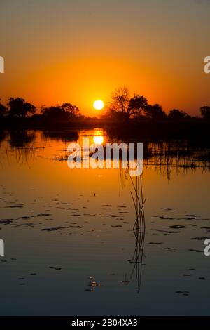 Sole che si trova sul Delta dell'Okavango nella parte settentrionale del Botswana. Foto Stock