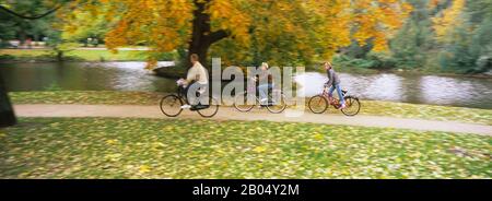 Persone che vanno in bicicletta in un parco, Vondelpark, Amsterdam, Paesi Bassi Foto Stock