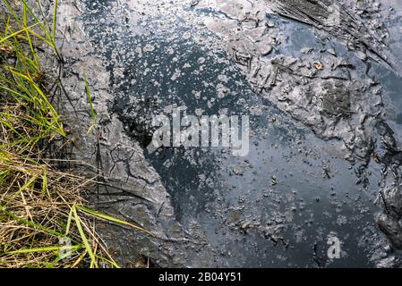 Fuoriuscita di olio sul terreno. Inquinamento ambientale causato da sostanze chimiche. Problemi ecologici del mondo. Sfondo scuro Foto Stock