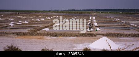 Lavoratori agricoli che lavorano in una miniera di sale, Tamil Nadu, India Foto Stock