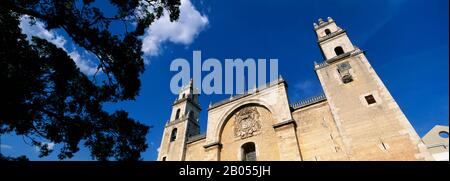 Vista ad angolo basso di una cattedrale, la Cattedrale di Merida, Merida, Yucatan, Messico Foto Stock