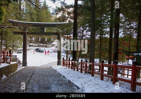 Pietra, porta, tori, all'ingresso del Santuario Futarasan, Nikko, Giappone Foto Stock