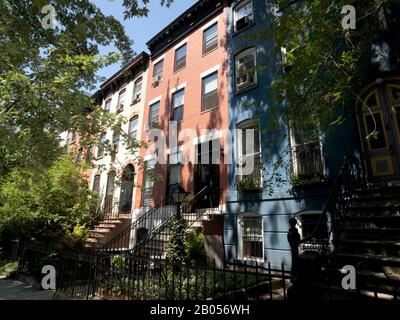 Alberi di fronte alle case, lungo Prospect Street, Fifth Avenue, Park Slope, Brooklyn, New York City, New York state, USA Foto Stock