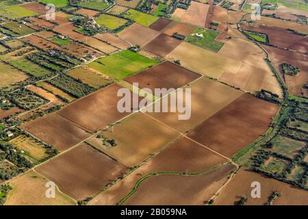 Foto aerea, prati e campi intorno a Vilafranca de Bonany, Vilafranca de Bonany, Isole Baleari, Spagna, Europa, Maiorca, Isole Baleari, ES, E. Foto Stock