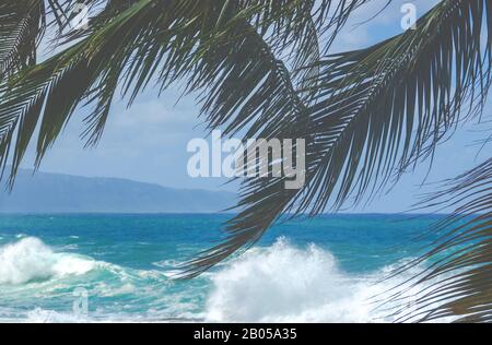 Grandi Onde Sulla North Shore Delle Hawaii Con Palme Nel Foreground Foto Stock