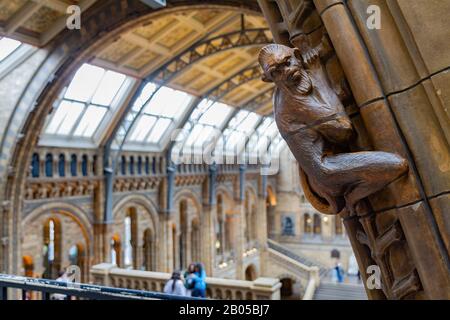 Londra, 16 LUGLIO: Vista interna del Museo di Storia Naturale il 16 LUGLIO 2011 a Londra Foto Stock