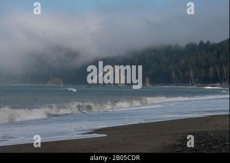 Nebbia banca sopra Rialto Beach sulla costa della penisola olimpica nel Parco Nazionale Olimpico di Washington, Stati Uniti Foto Stock