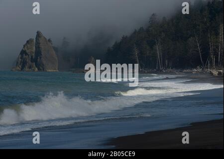 Nebbia banca sopra Rialto Beach sulla costa della penisola olimpica nel Parco Nazionale Olimpico di Washington, Stati Uniti Foto Stock