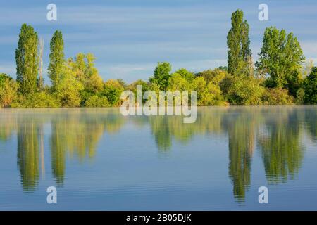 Lago nel Parc naturel régional de la Brenne, Francia, Indre, la Brenne Foto Stock