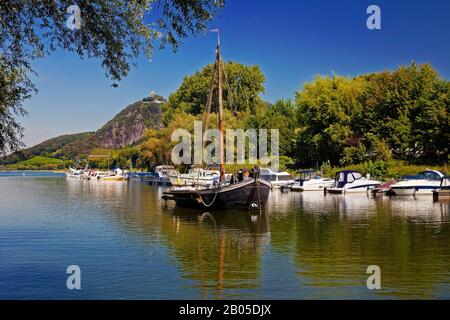 Marina con Aalschokker Aranka, Drachenfels in background, Germania, Renania Settentrionale-Vestfalia, Bad Honnef Foto Stock