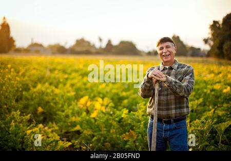 Ritratto di un contadino sorridente appoggiato su una pala in un campo di colture. Foto Stock