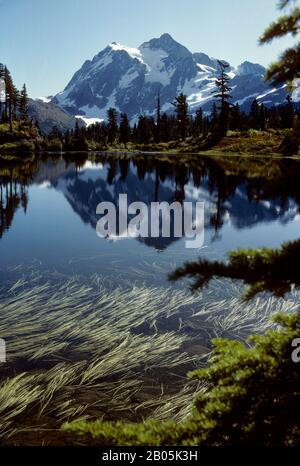 USA, WASHINGTON, NORTH CASCADES NATIONAL PARK, MT. SHUKSAN RIFLETTE IL LAGO ALPINO Foto Stock