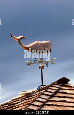 USA, WASHINGTON, BANDERUOLA METEO CON BALENA IN RAME COME INDICATORE DEL VENTO Foto Stock
