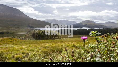 Bellissimo punto panoramico sull'autostrada A82 che si affaccia sul Loch Tulla e sul Black Mound Foto Stock